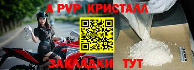хмурый Кингисепп