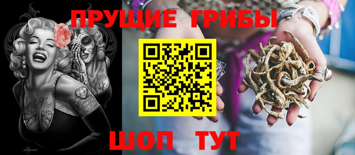 Псилоцибиновые грибы Psilocybe Биробиджан