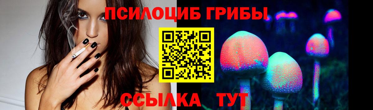 Биробиджан  где продают наркотики  Вход с VPN  Псилоцибиновые грибы GOLDEN TEACHER 